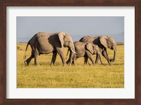 Africa, Kenya, Amboseli National Park, Elephant Fine Art Print