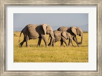 Africa, Kenya, Amboseli National Park, Elephant Fine Art Print