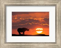 Kenya, Masai Mara Composite Of White Rhino Silhouette And Sunset Fine Art Print