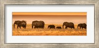 Etosha National Park, Namibia, Elephants Walk In A Line At Sunset Fine Art Print