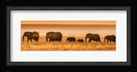 Etosha National Park, Namibia, Elephants Walk In A Line At Sunset Fine Art Print