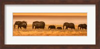 Etosha National Park, Namibia, Elephants Walk In A Line At Sunset Fine Art Print