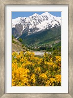 Wonderful Mountain Scenery Of Svanetia, Georgia Fine Art Print