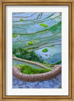 Rice Terraces Of Banaue, Philippines Fine Art Print
