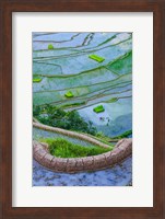 Rice Terraces Of Banaue, Philippines Fine Art Print