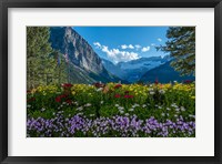 Wildflowers In Banff National Park Fine Art Print