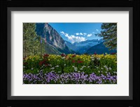 Wildflowers In Banff National Park Fine Art Print