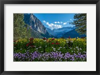 Wildflowers In Banff National Park Fine Art Print