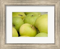 Canada, British Columbia, Cowichan Valley Close-Up Of Green Apples Fine Art Print