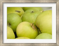Canada, British Columbia, Cowichan Valley Close-Up Of Green Apples Fine Art Print