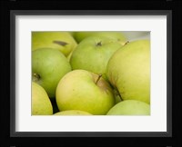 Canada, British Columbia, Cowichan Valley Close-Up Of Green Apples Fine Art Print