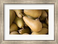 Canada, British Columbia, Cowichan Valley Close-Up Of Harvested Pears Fine Art Print