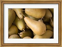 Canada, British Columbia, Cowichan Valley Close-Up Of Harvested Pears Fine Art Print