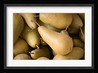 Canada, British Columbia, Cowichan Valley Close-Up Of Harvested Pears Fine Art Print