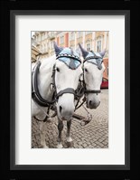 Czech Republic Horses On Cobblestone Karlovy Vary Street Fine Art Print