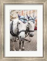 Czech Republic Horses On Cobblestone Karlovy Vary Street Fine Art Print