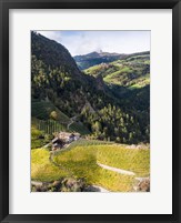 Viniculture Near Klausen In South Tyrol During Autumn, Italy Fine Art Print