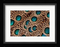 Feather Design Of The Malay Peacock Pheasant Fine Art Print