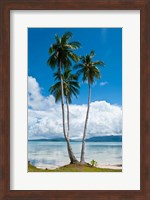 Lonely Palm Tree In The Marovo Lagoon, Solomon Islands Fine Art Print