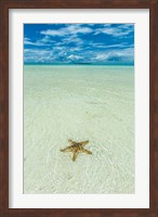 Sea Star In The Sand On The Rock Islands, Palau Fine Art Print