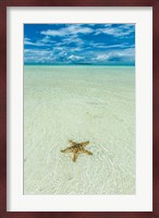 Sea Star In The Sand On The Rock Islands, Palau Fine Art Print