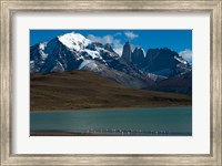 Chilean Flamingo On Blue Lake, Torres Del Paine NP, Patagonia Fine Art Print