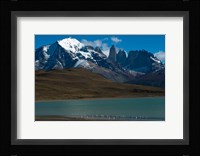Chilean Flamingo On Blue Lake, Torres Del Paine NP, Patagonia Fine Art Print