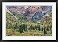 Alaska, Fall Foliage, Sheep Mountain Fine Art Print