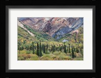 Alaska, Fall Foliage, Sheep Mountain Fine Art Print
