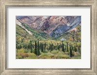 Alaska, Fall Foliage, Sheep Mountain Fine Art Print