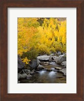 California, Eastern Sierra Bishop Creek During Autumn Fine Art Print
