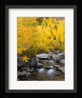 California, Eastern Sierra Bishop Creek During Autumn Fine Art Print
