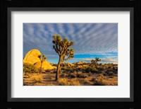 Joshua Tree National Park, California Fine Art Print