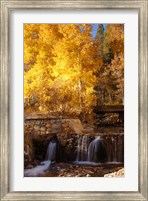 Autumn Waterfalls In The Sierra Fine Art Print