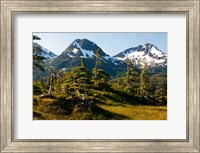 Mount Eccles Near Cordova, Alaska Fine Art Print