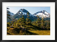 Mount Eccles Near Cordova, Alaska Fine Art Print