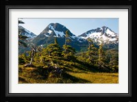 Mount Eccles Near Cordova, Alaska Fine Art Print