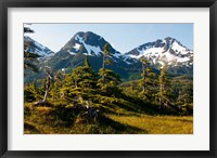 Mount Eccles Near Cordova, Alaska Fine Art Print