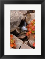 Small Waterfall In The Sierra Nevada Mountains Fine Art Print