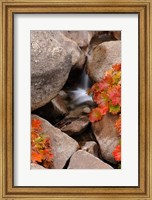 Small Waterfall In The Sierra Nevada Mountains Fine Art Print