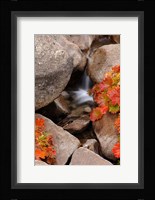 Small Waterfall In The Sierra Nevada Mountains Fine Art Print