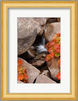 Small Waterfall In The Sierra Nevada Mountains Fine Art Print