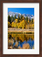Yosemite's Mount Dana Fine Art Print