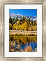 Yosemite's Mount Dana Fine Art Print