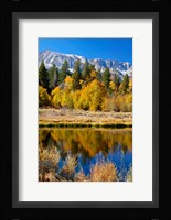 Yosemite's Mount Dana Fine Art Print