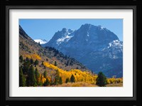 Fall In Eastern California Fine Art Print