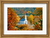 St Sava Serbian Church In Autumn Fine Art Print