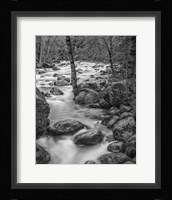 Yosemite Happy Isles, California (BW) Fine Art Print
