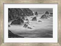 California, Mendocino Coast, Bodega Bay (BW) Fine Art Print