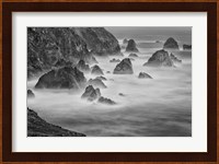 California, Mendocino Coast, Bodega Bay (BW) Fine Art Print